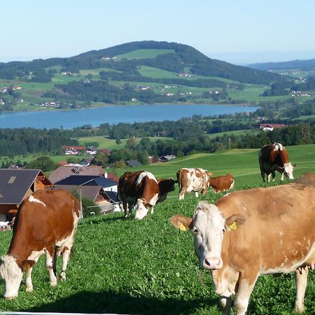 Familienferienhof Stabauer Zell am Moos Extérieur photo