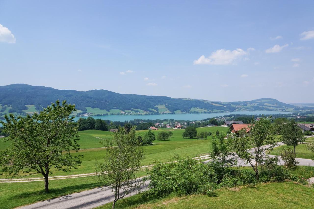 Familienferienhof Stabauer Zell am Moos Extérieur photo
