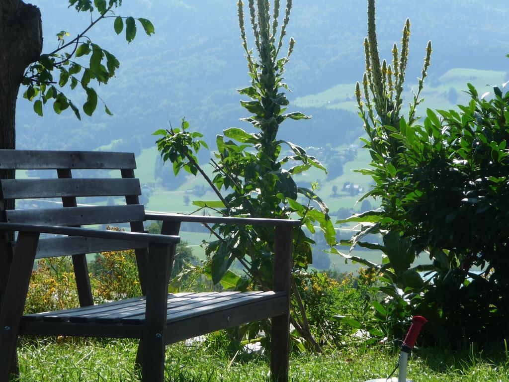 Familienferienhof Stabauer Zell am Moos Extérieur photo