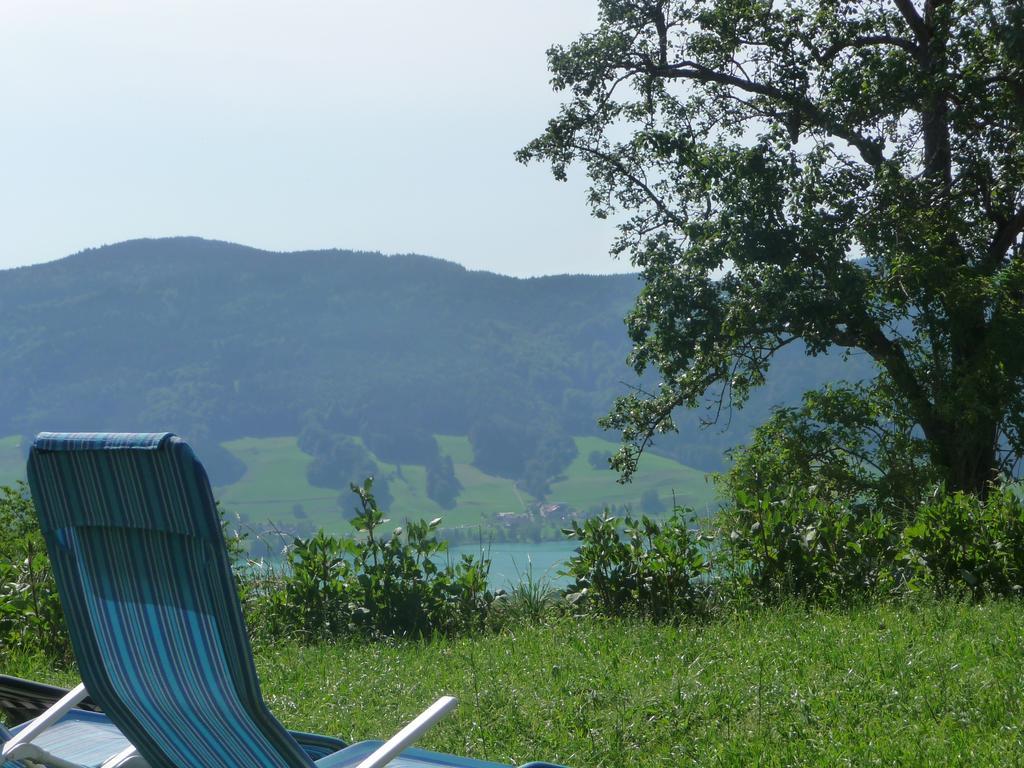 Familienferienhof Stabauer Zell am Moos Extérieur photo