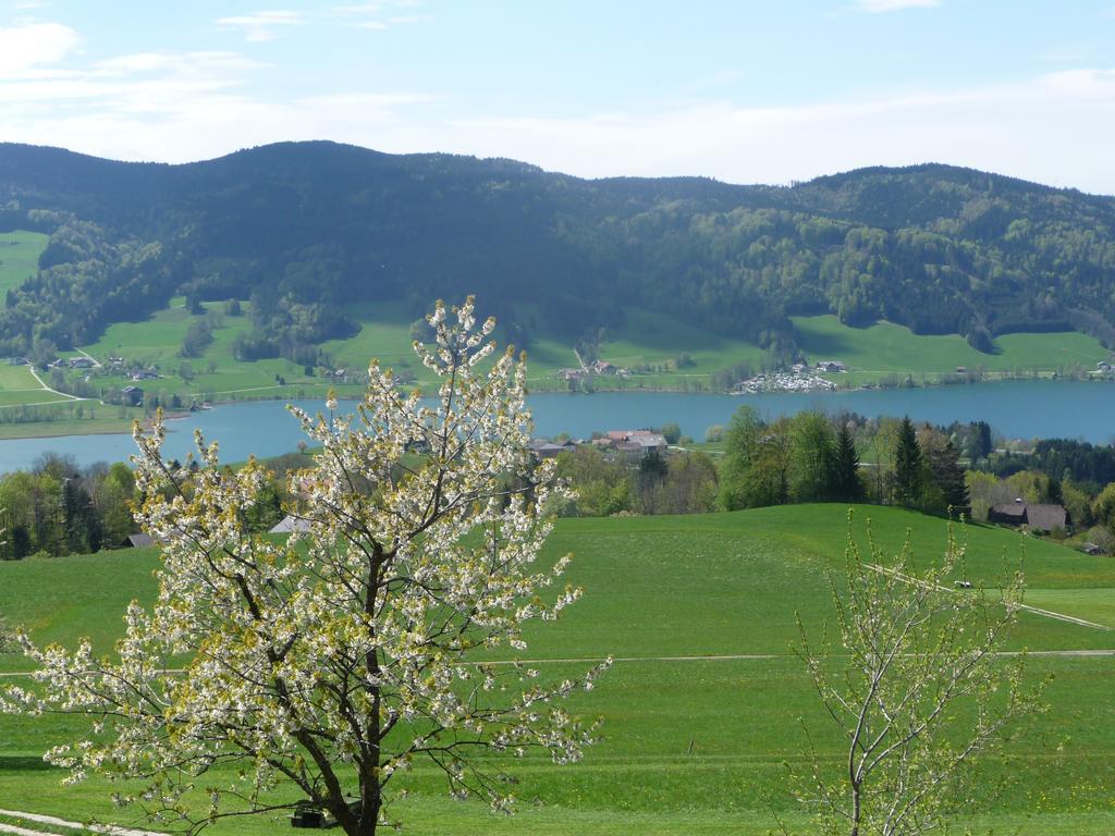 Familienferienhof Stabauer Zell am Moos Extérieur photo