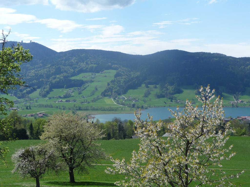 Familienferienhof Stabauer Zell am Moos Extérieur photo